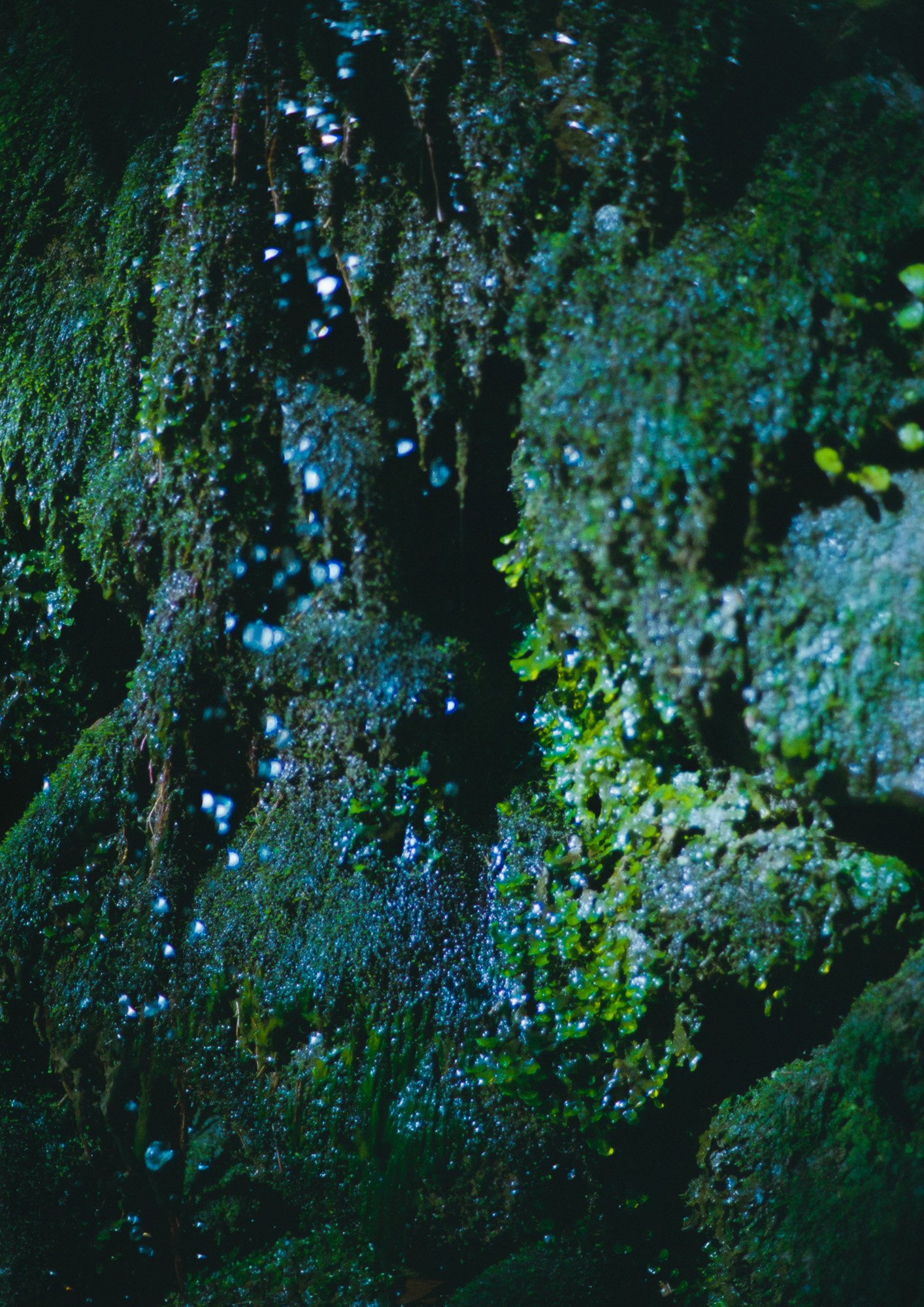 Taisei Matsumoto, 2022 exhibition work 031