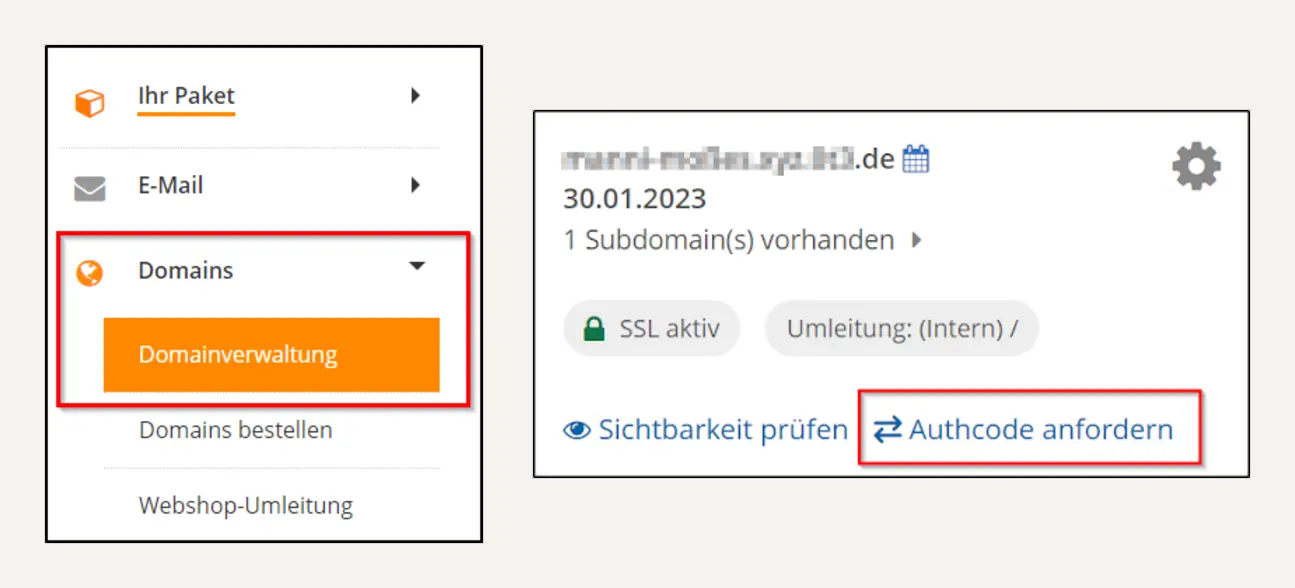 Strato Domainverwaltung mit Link Authcode anfordern