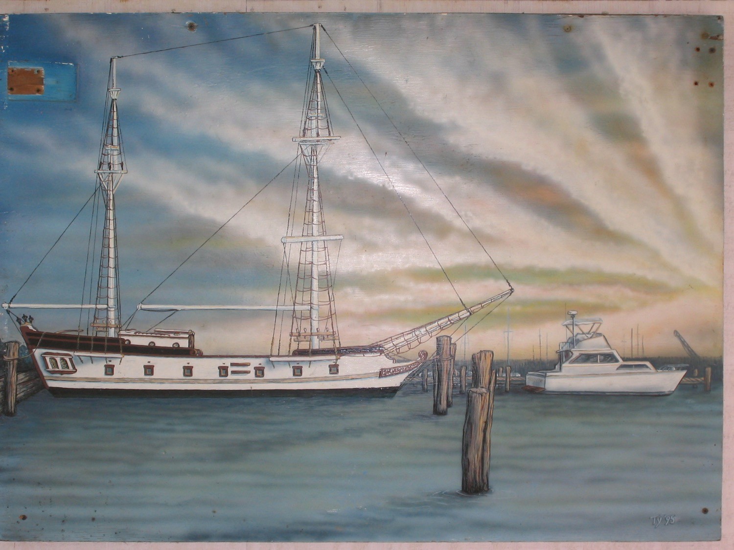 Ty's painting of the Peregrine