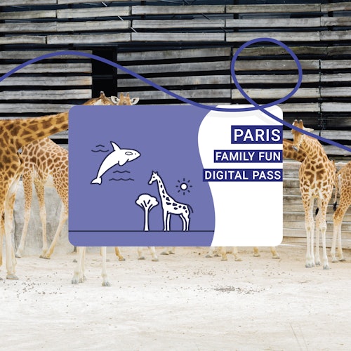 קבוצה של ג'ירפות עומדת במתחם עם גרפיקה של כרטיס דיגיטלי לפריז משפחה כיף.