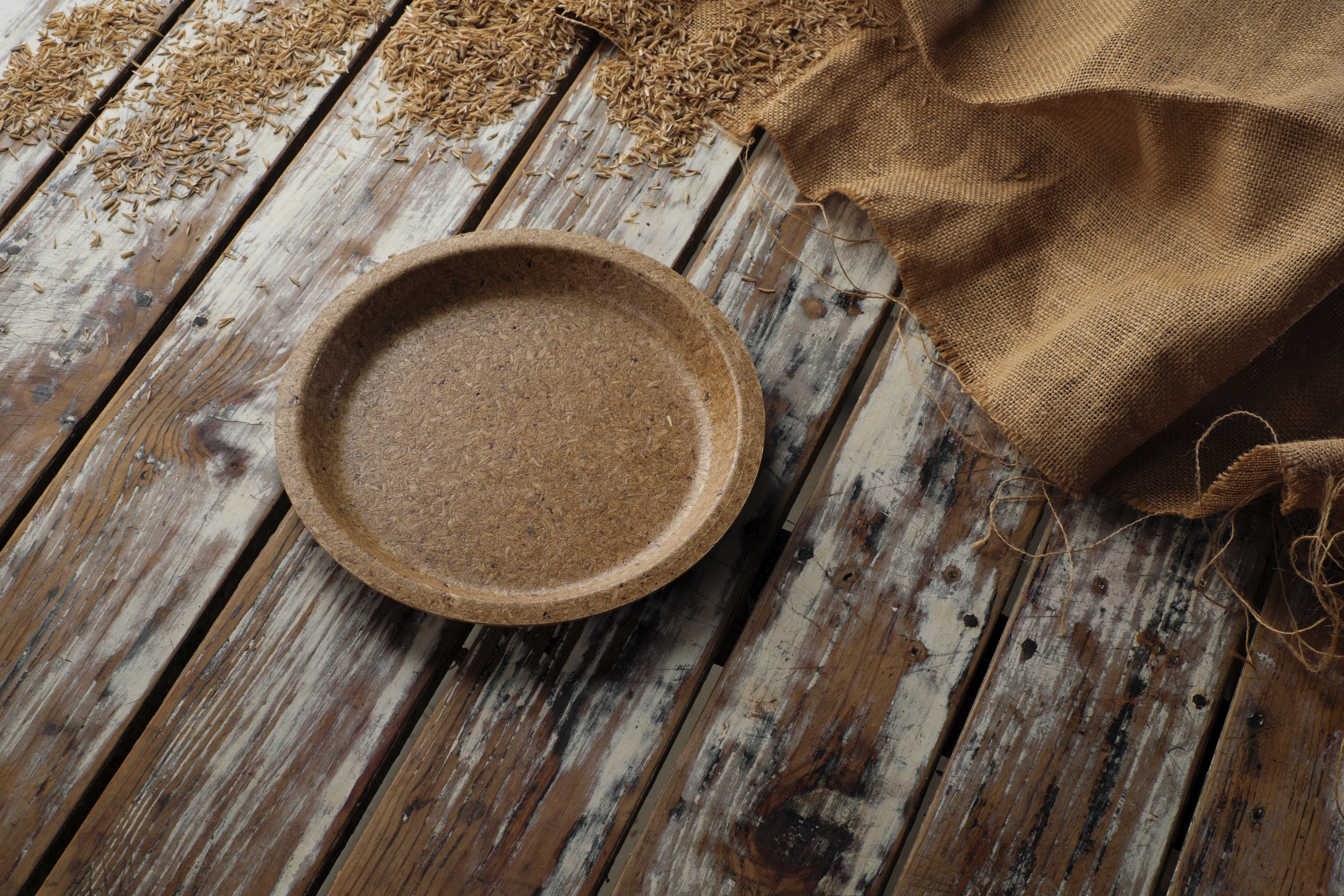Earth Wing Plate 8 inch