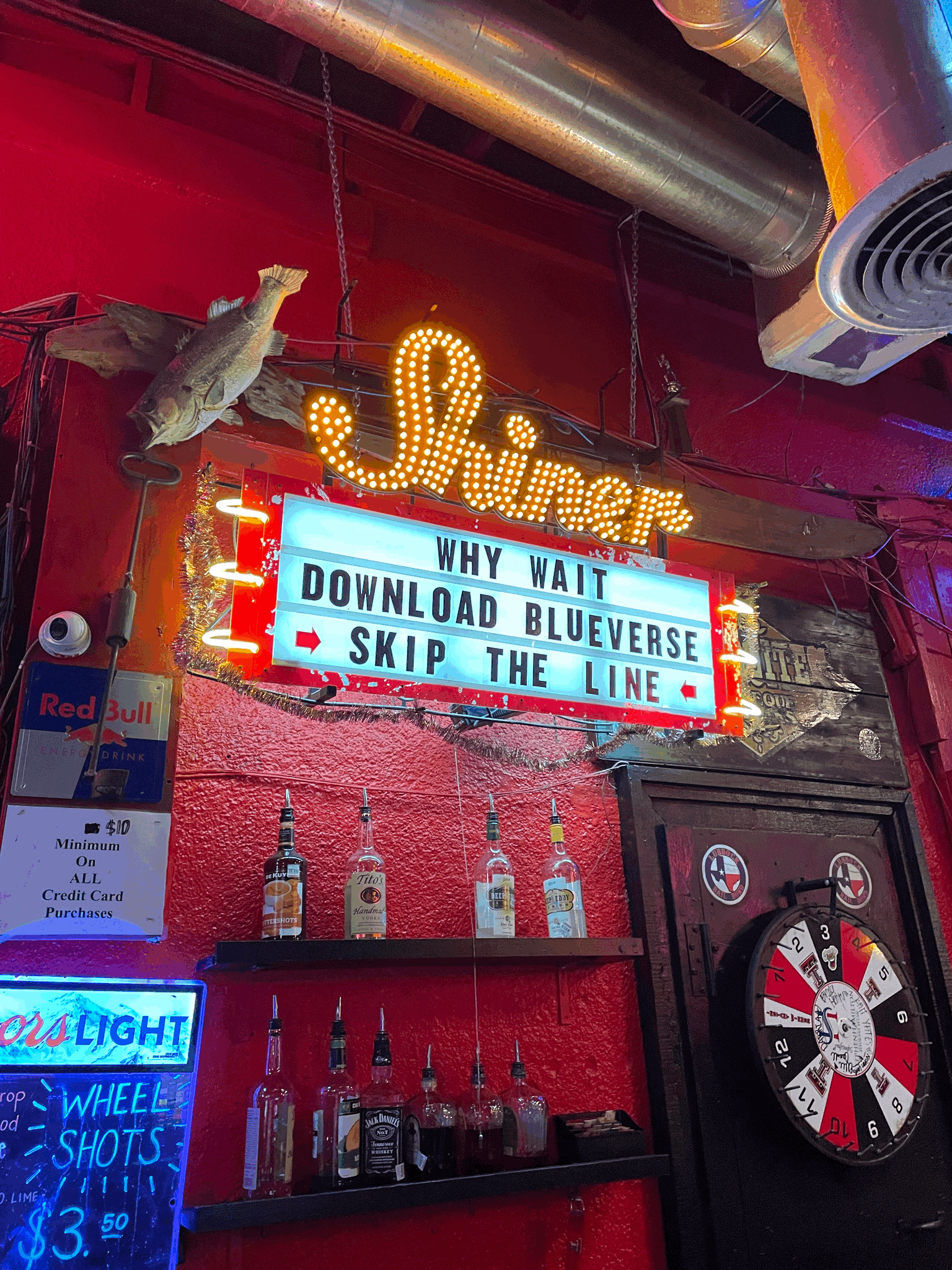 BlueVerse - About Us 