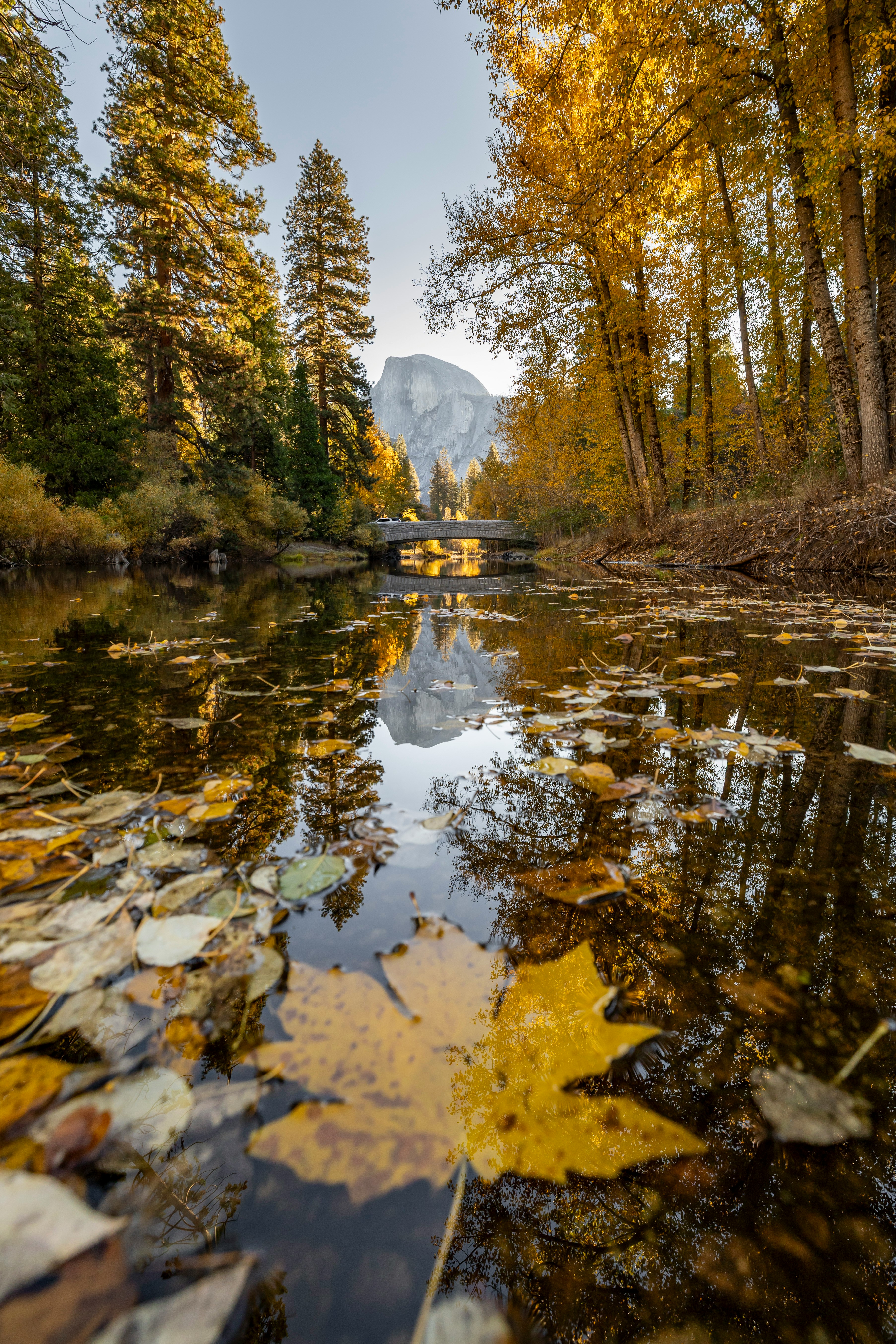Half dome reflected in merced river during autumn