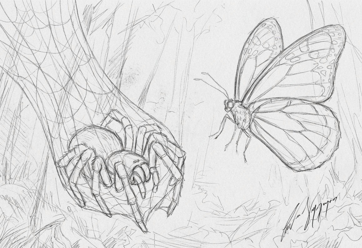 The Butterfly's Web - First Pencil Sketch