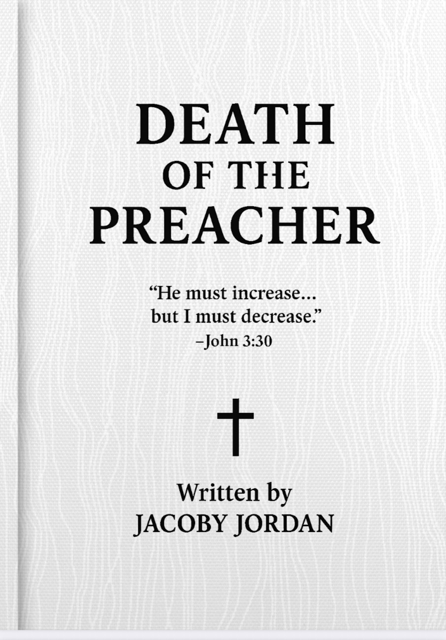 Silhouetted agapanthus flowers against a gradient sky.