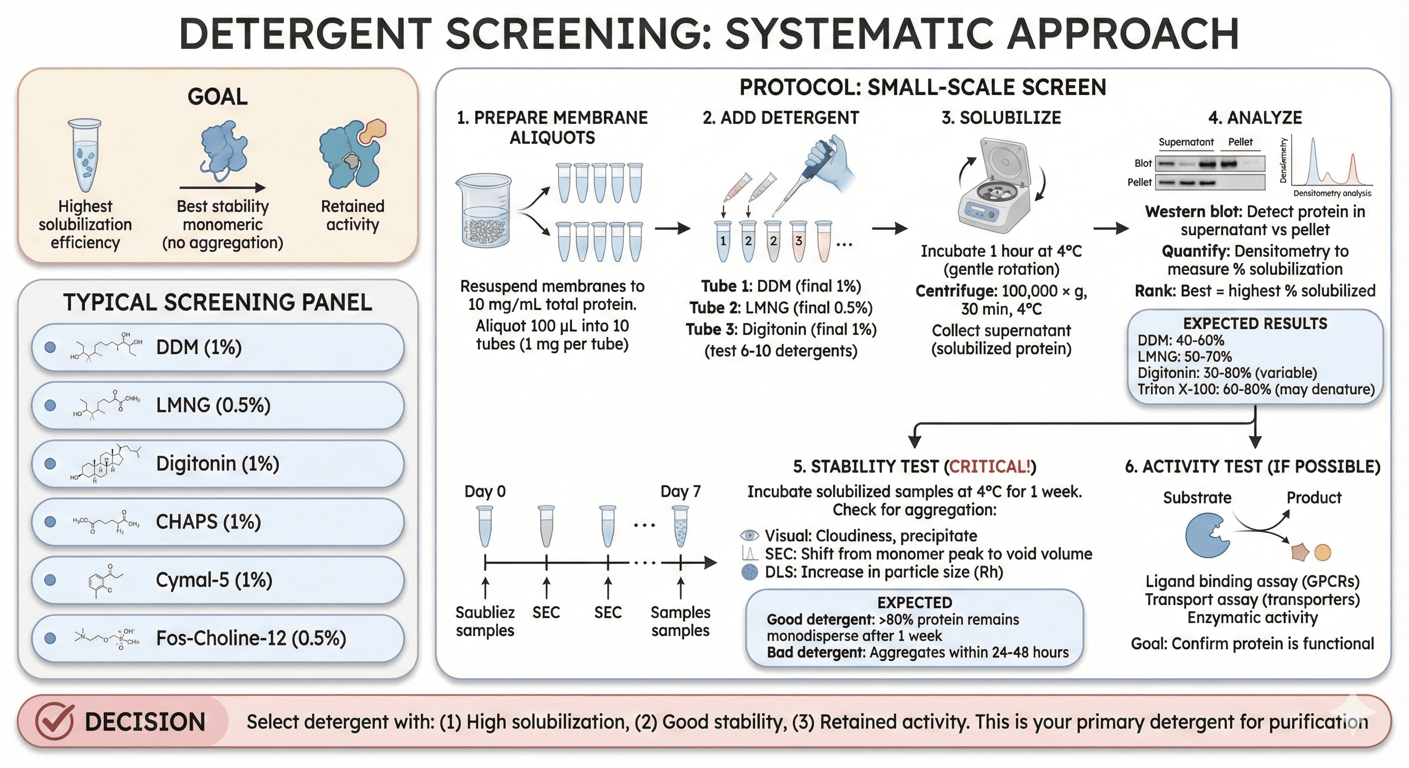 Diagram Showcasing Detergent Screening Process for Membrane Proteins