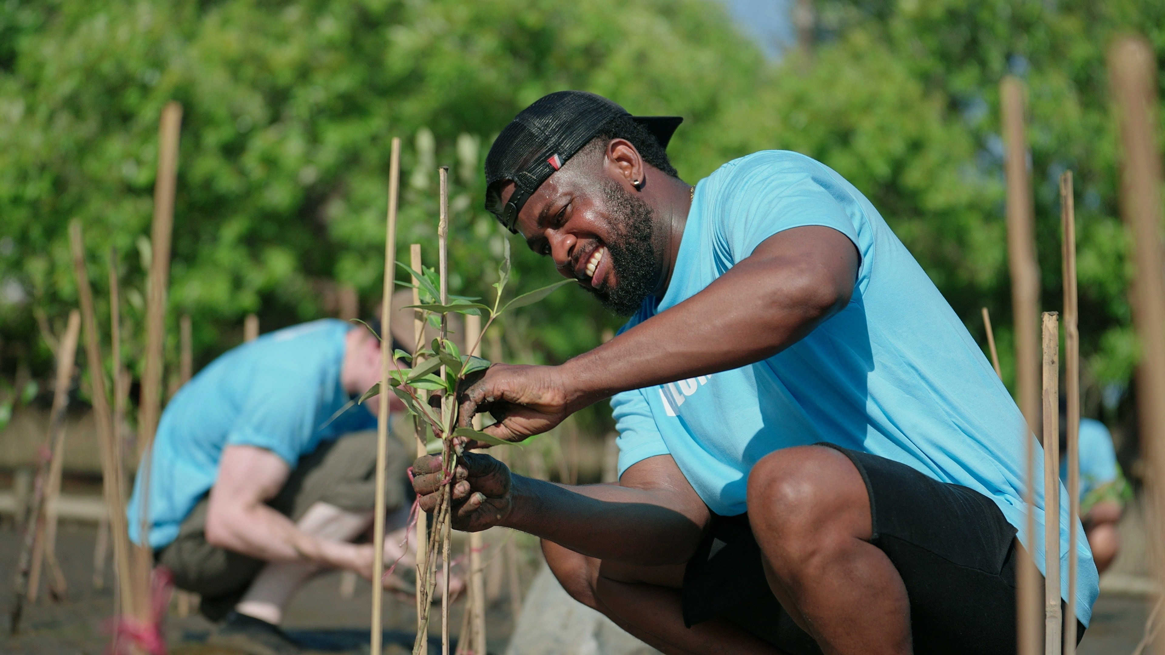Sustainable Banking: bunq Plants Trees as You Spend