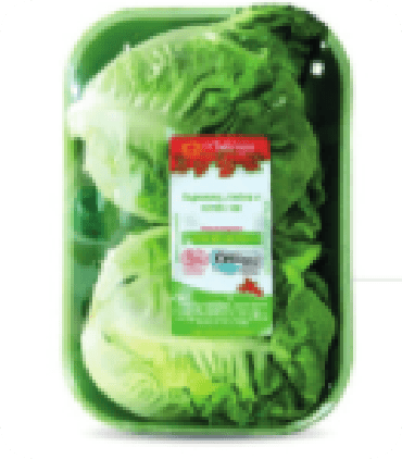 Foto de Alface Mini-romana