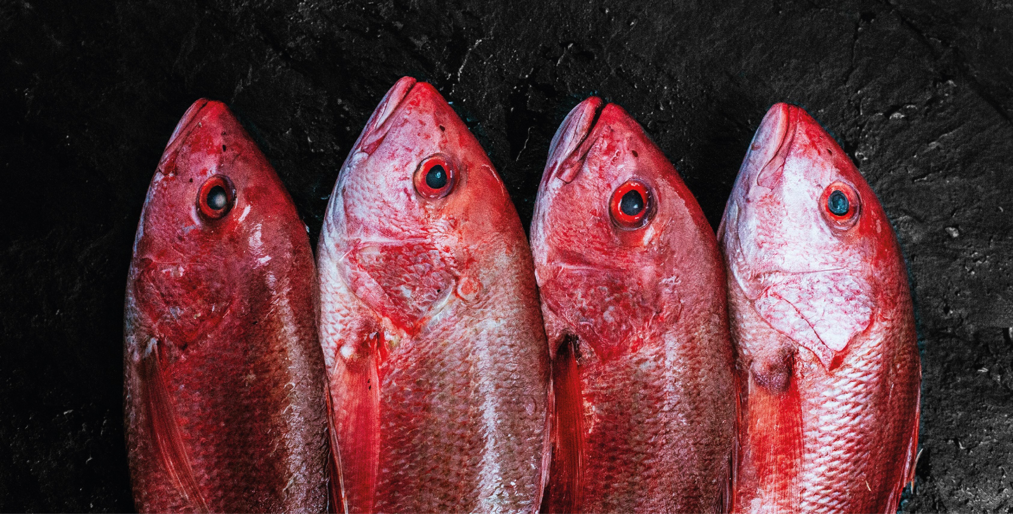 woman holding a phone and man looking at the phone. both are smiling