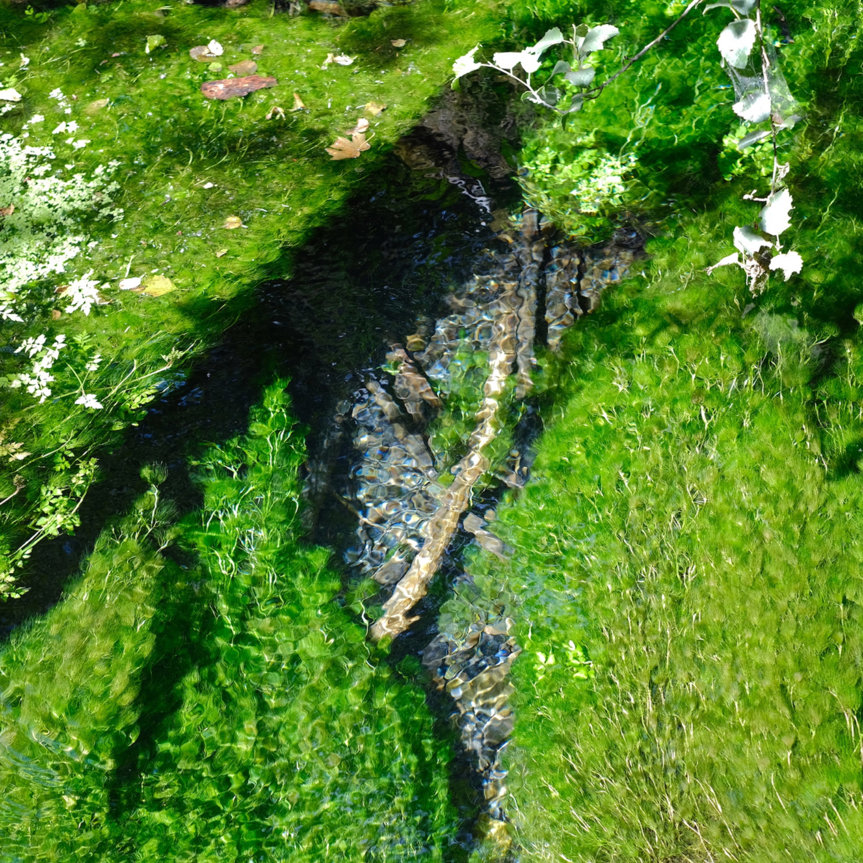 A thoughtful young person with dark hair gazes to the side, captured in soft black and white lighting.