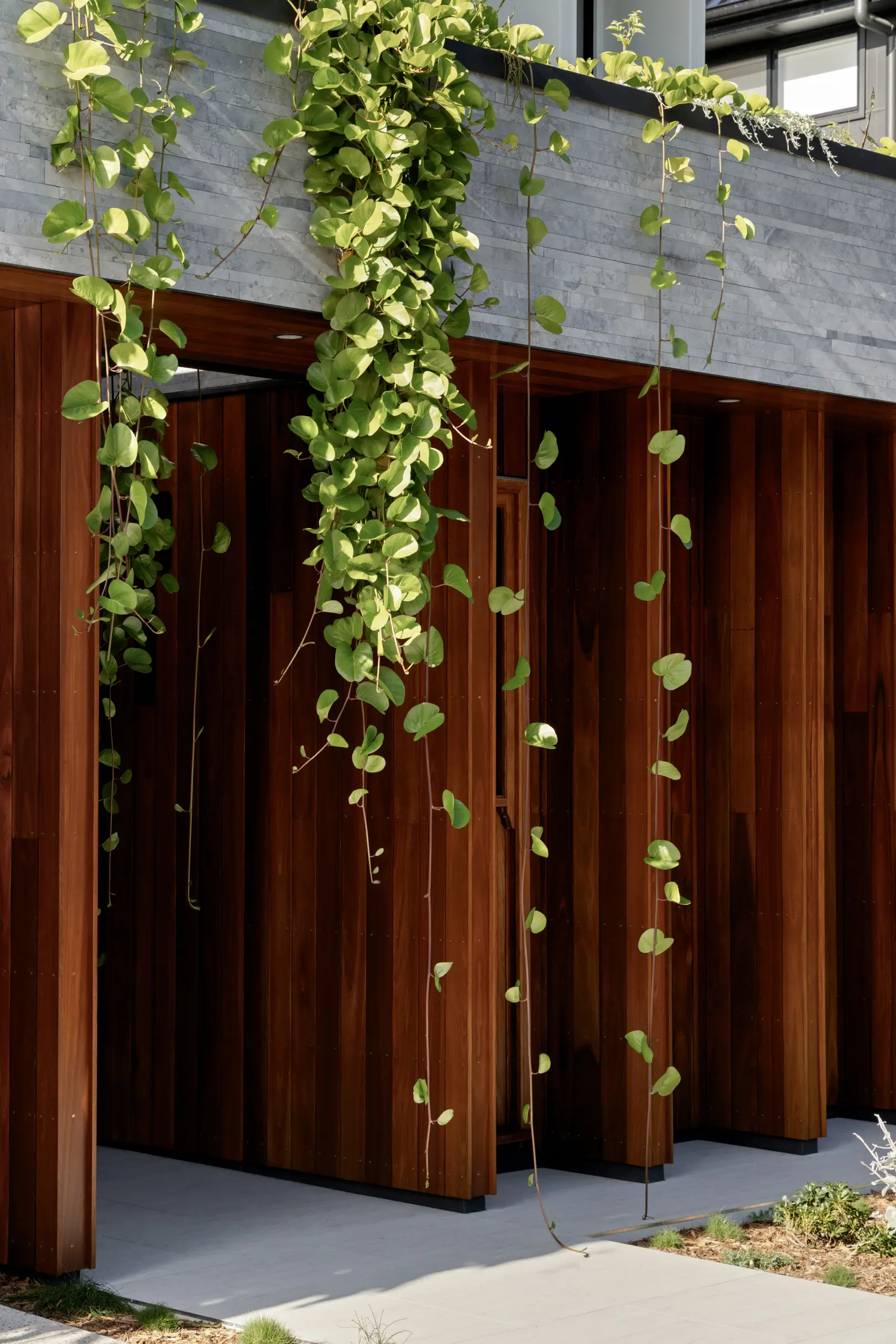 Front facade of Jacaranda House in. Brisbane