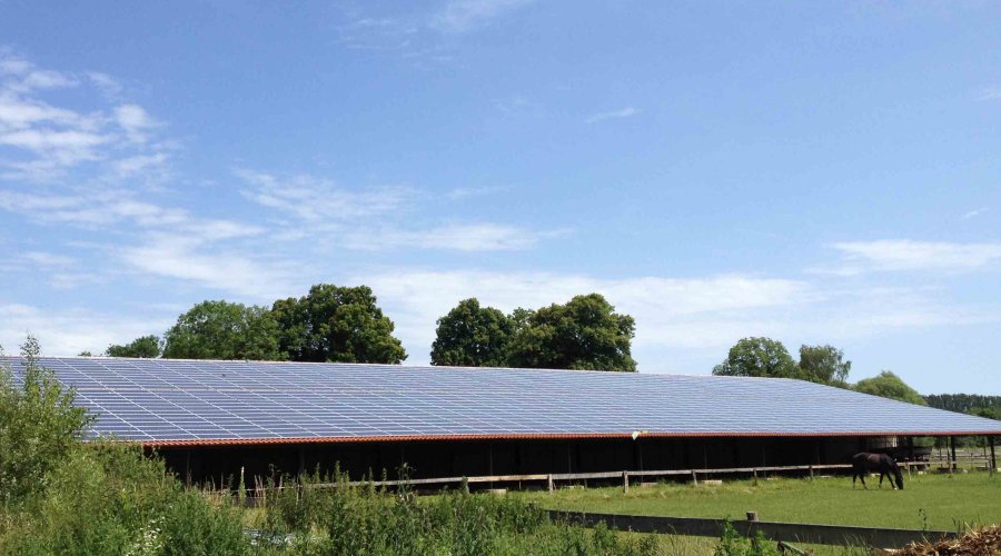 Solarpanelanlage auf einem Stallgebäude unter blauem Himmel. Erneuerbare Energie für nachhaltige Stromerzeugung.