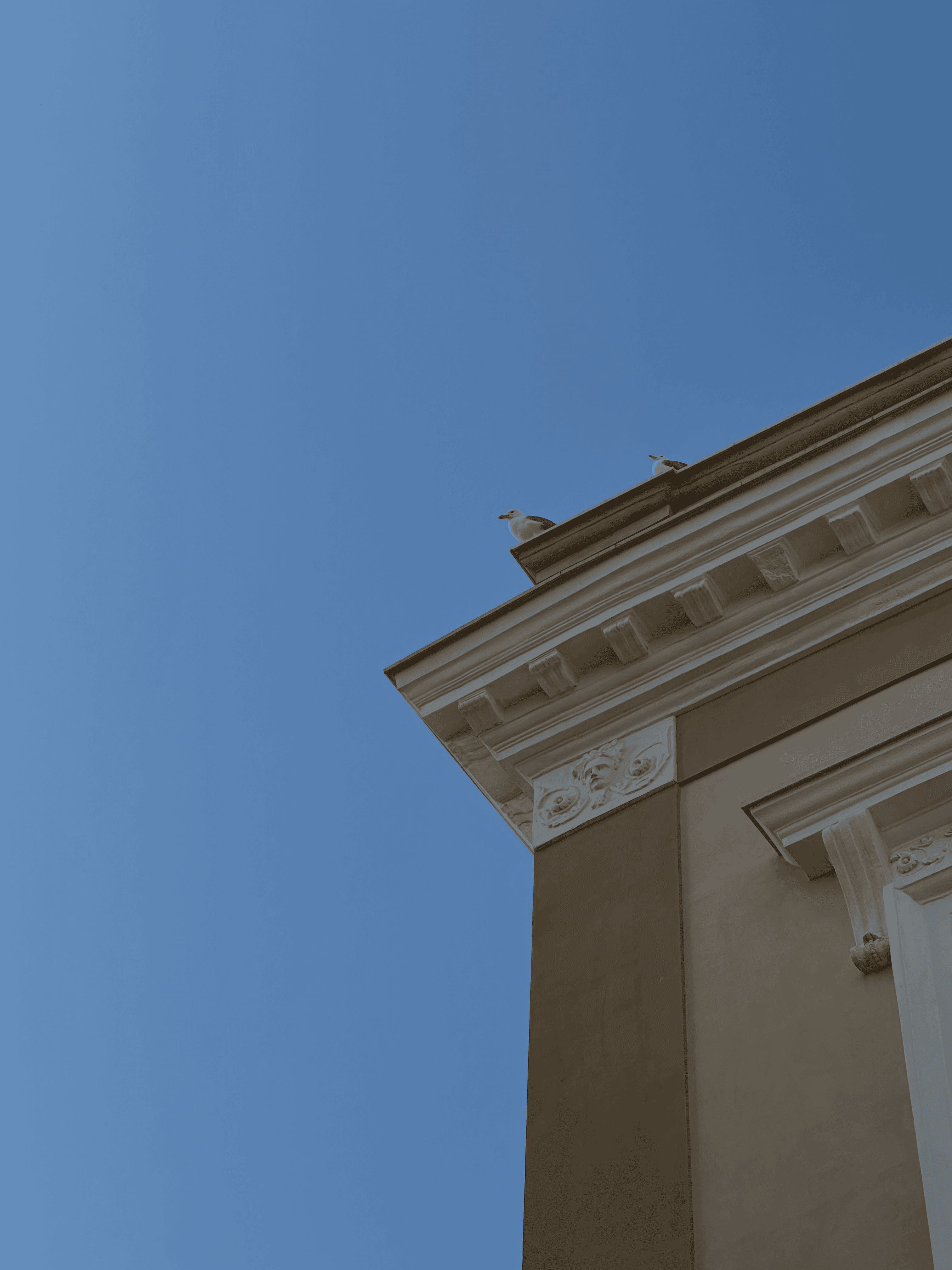 Looking up at the corner of a Sicilian building with two seagulls perched on it against a bright blue sky