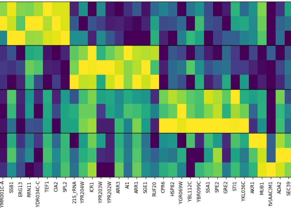 Heatmap of showcasing a downsampled subset of data from "Repression of divergent noncoding transcription by a sequence-specifi transcription factor" (Wu, A. C. K., Patel, H., Chia, M., Moretto, F., Frith, D., Snijders, A. P., & van Werven, F. J. (2018)). This is an example or cover image showcasing capabilities of the Bulk RNA sequencing (RNAseq) template or workflow, which are often typically in FASTQ format and the ability of Mantle to run powerful pipelines, like the nf-core rnqseq pipeline, to process bioinformatics data.