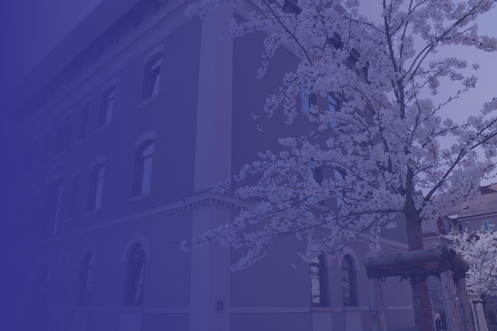 Dynamic picture of a cyclist riding downhill