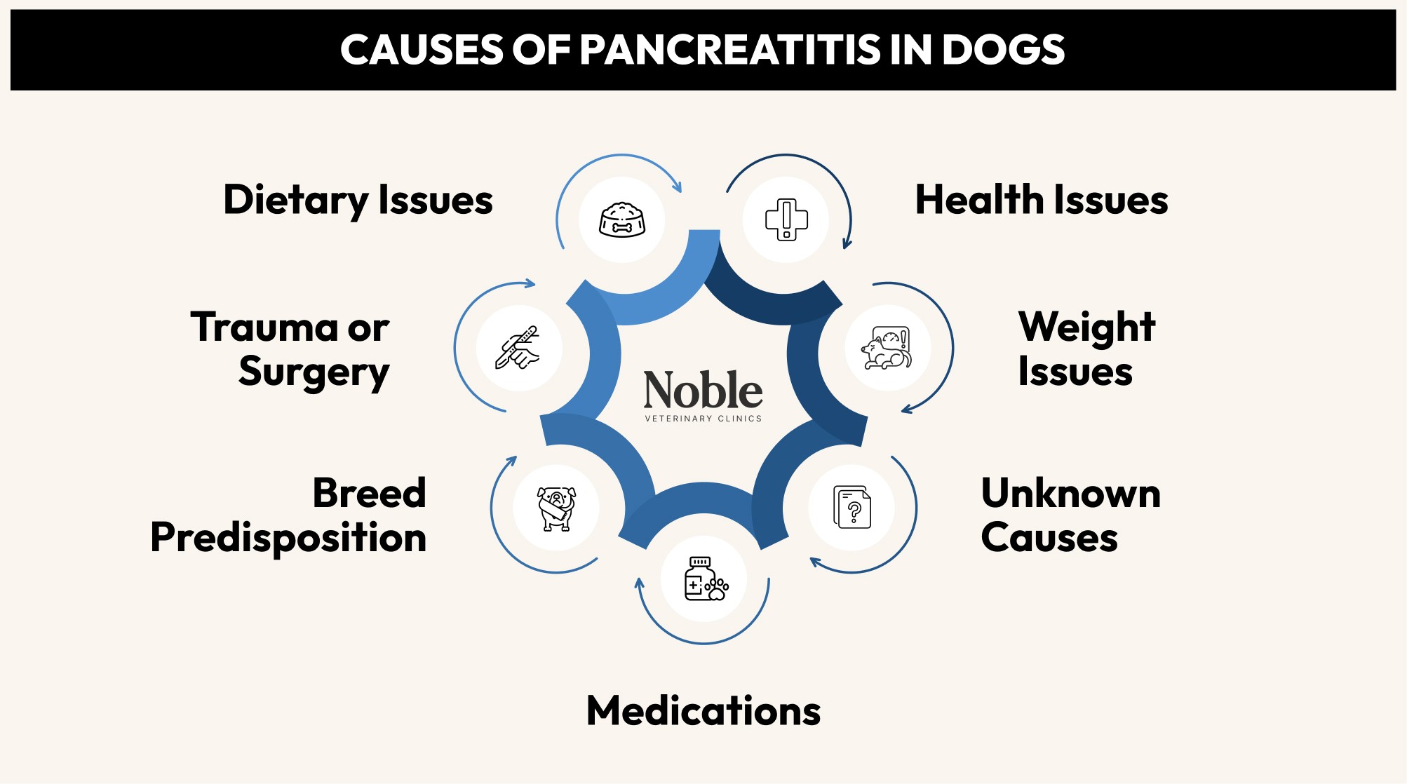 Causes of Pancreatitis in Dogs