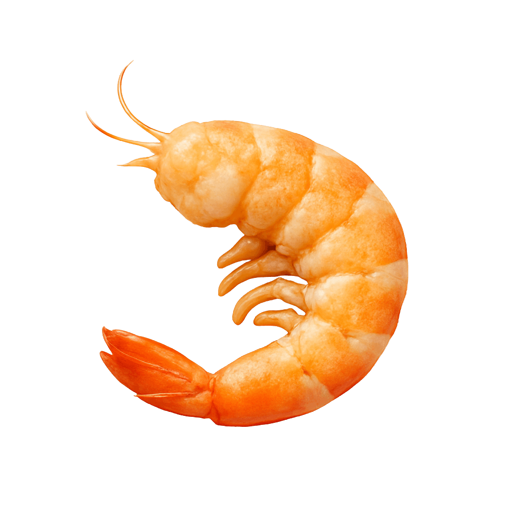 Vector
