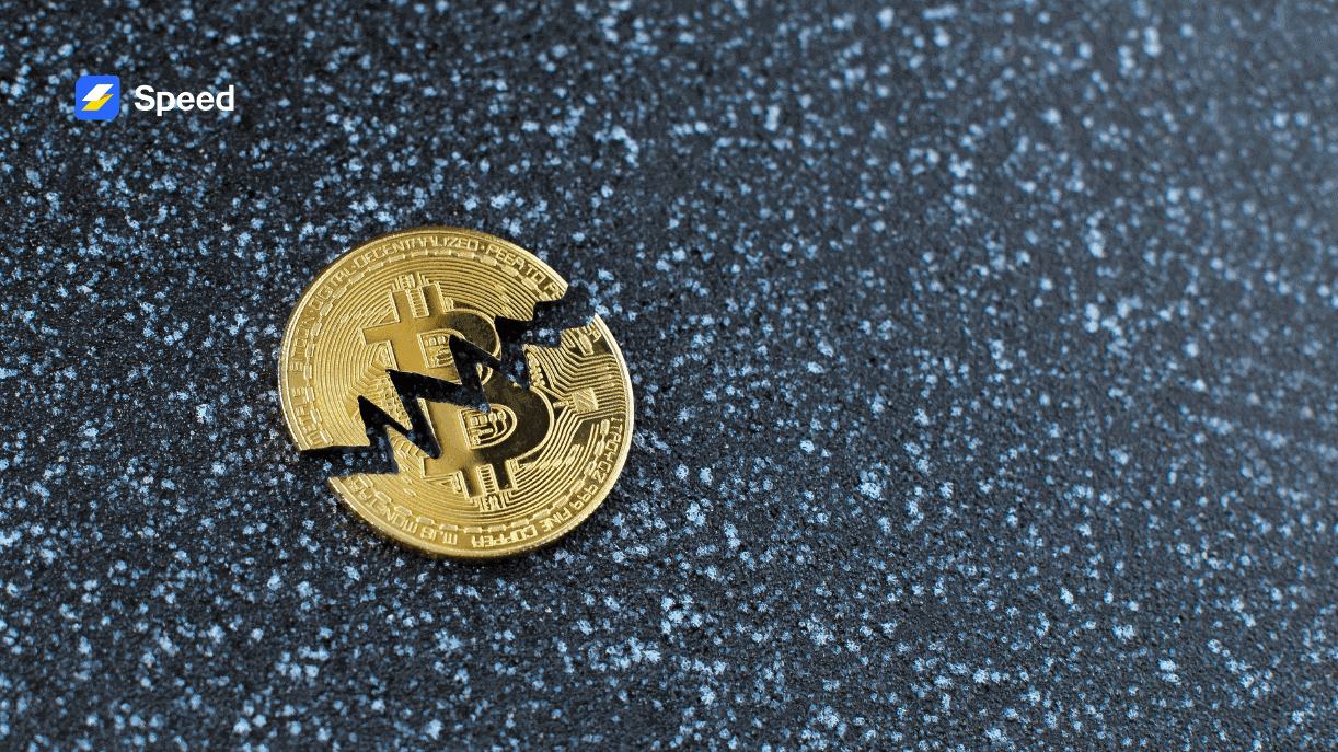 5 Important Phases of Bitcoin Halving