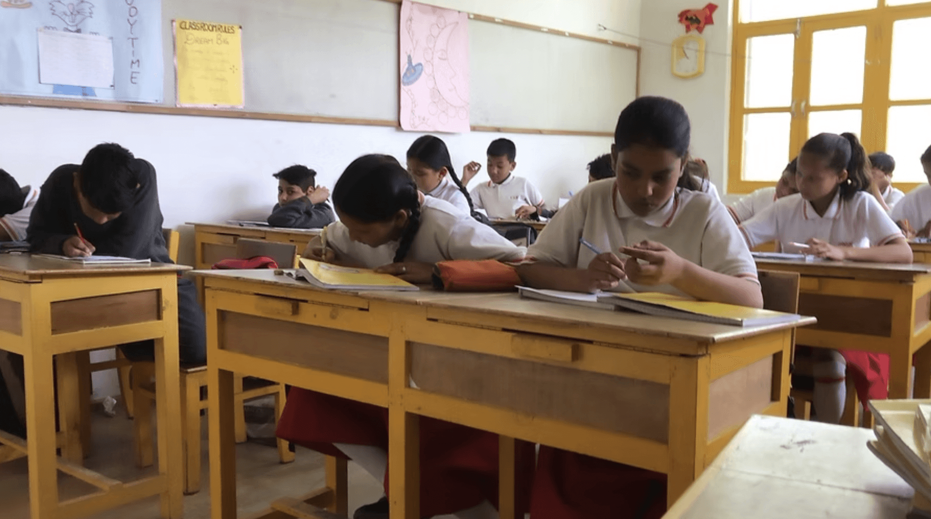 A person stands outdoors in a natural setting with lush green trees under a clear sky, wearing a dark sweatshirt, and looking into the distance.