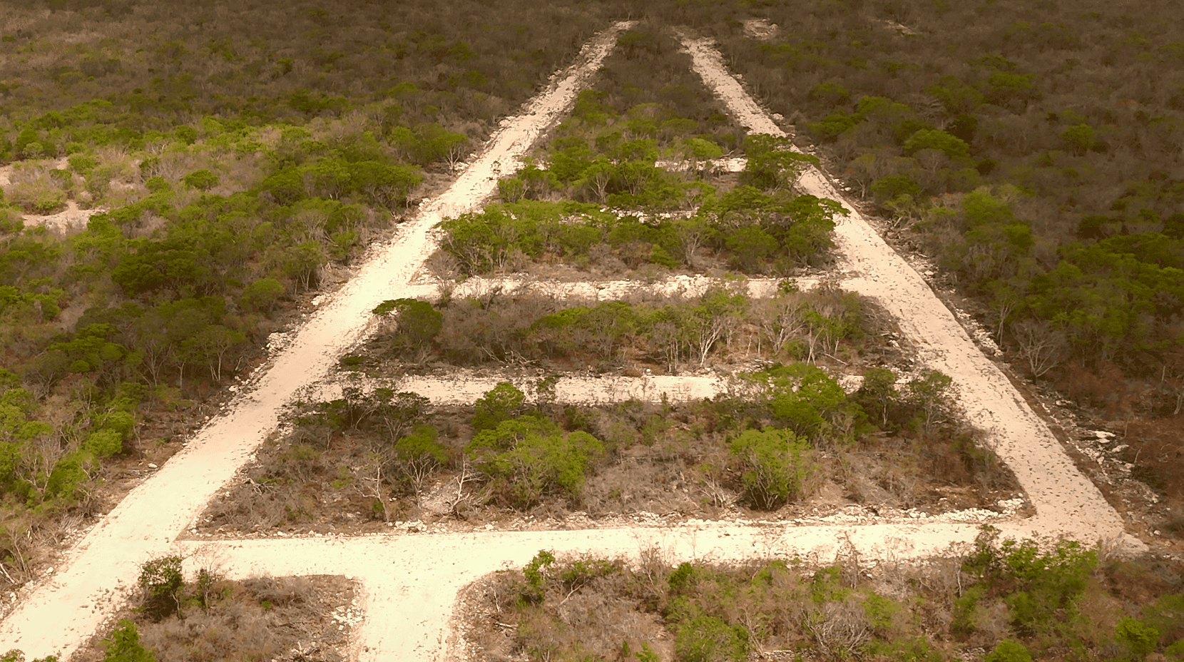 Tétiz-Terrain-Projet-Azteca-Yucatan