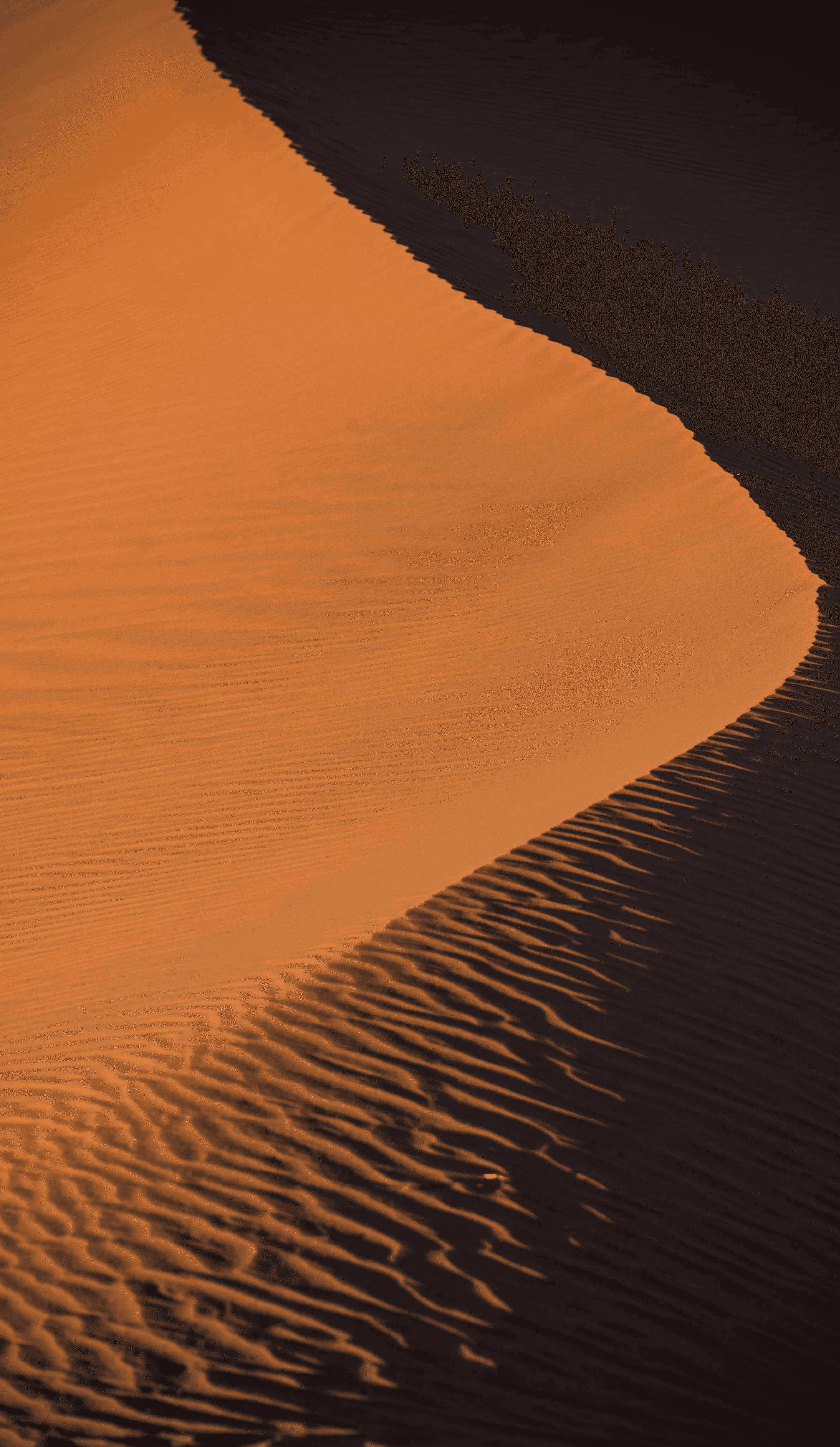 A photo of a light desert sand dune.