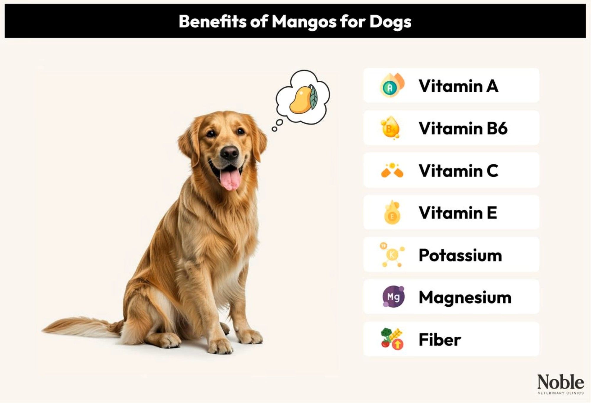 Benefits of Mangos for Dogs