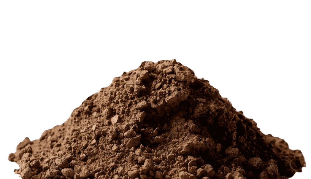 Hand (Background Removed)