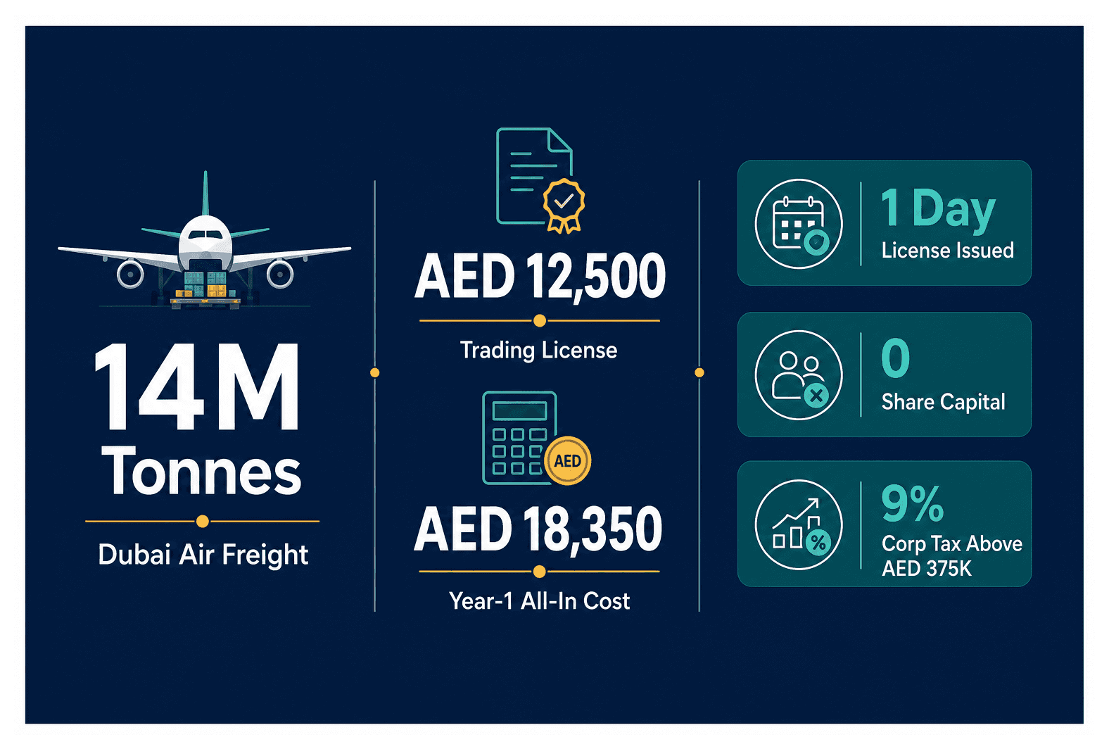 Infographic: Distribution Company Setup in Dubai: License and Warehouse Requirements
