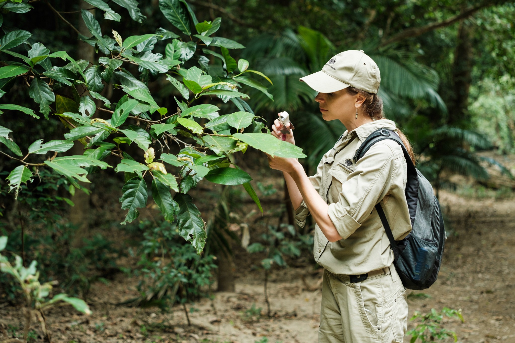 A woman inspects a plant