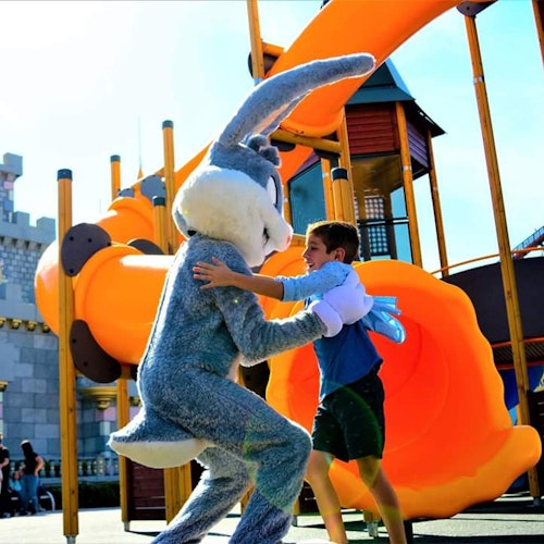 墨西哥民俗芭蕾舞（包括VIP門票 + 交通）在墨西哥城的票