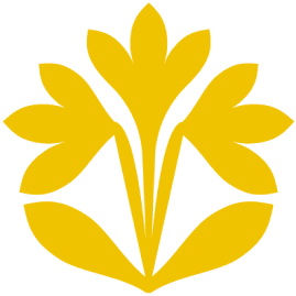 HealthyHer magenta icon