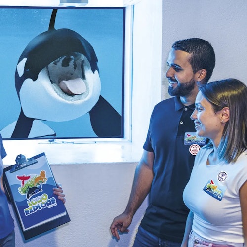 Loro Parque: Vstupenka + Vše v jednom vstupenka v Puerto De La Cruz