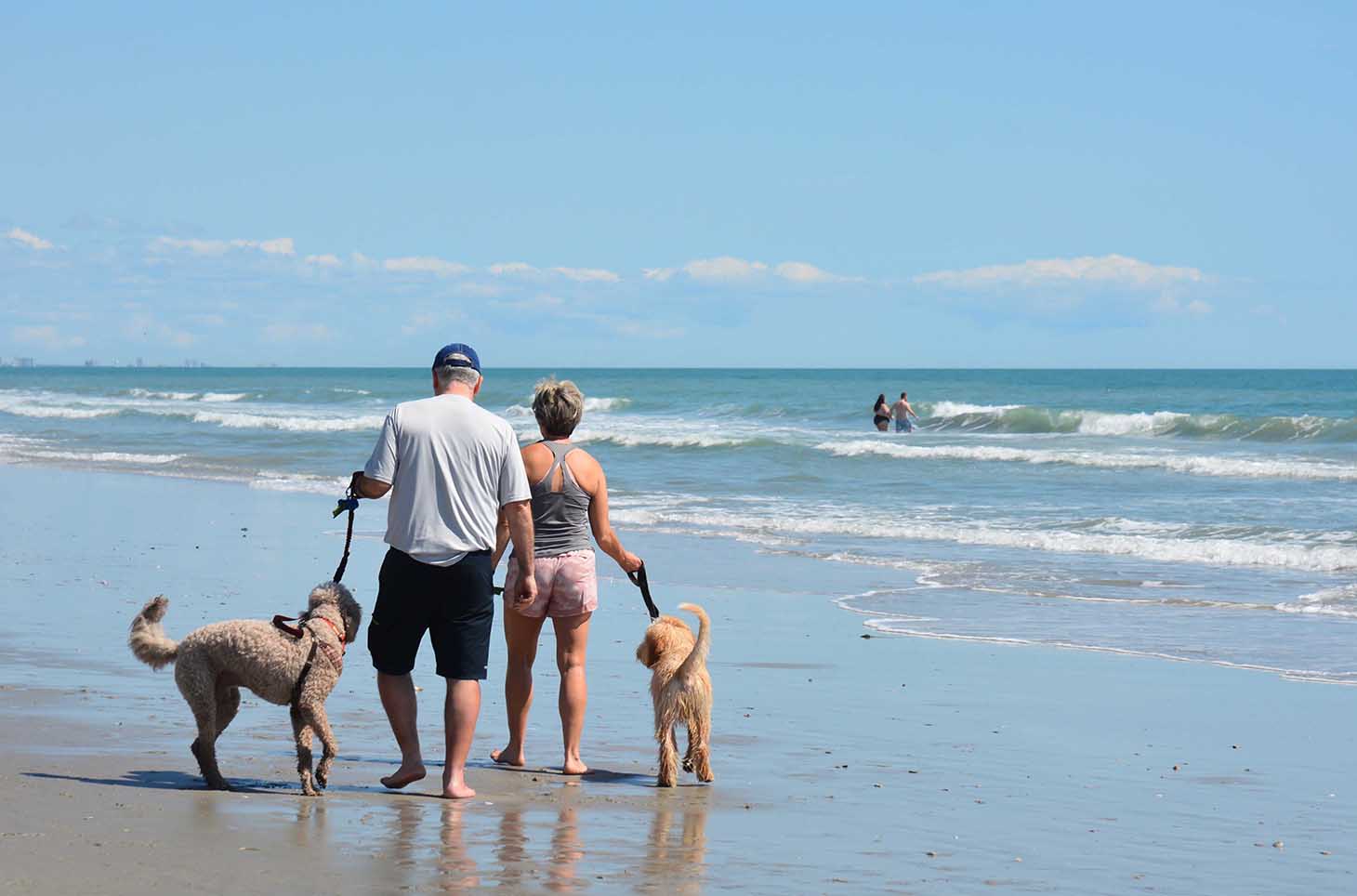 Couple walking with pets in a dog-friendly beach in Dubai