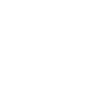 Flag icon representing the Get Started section for setting up your AskDolphin account.