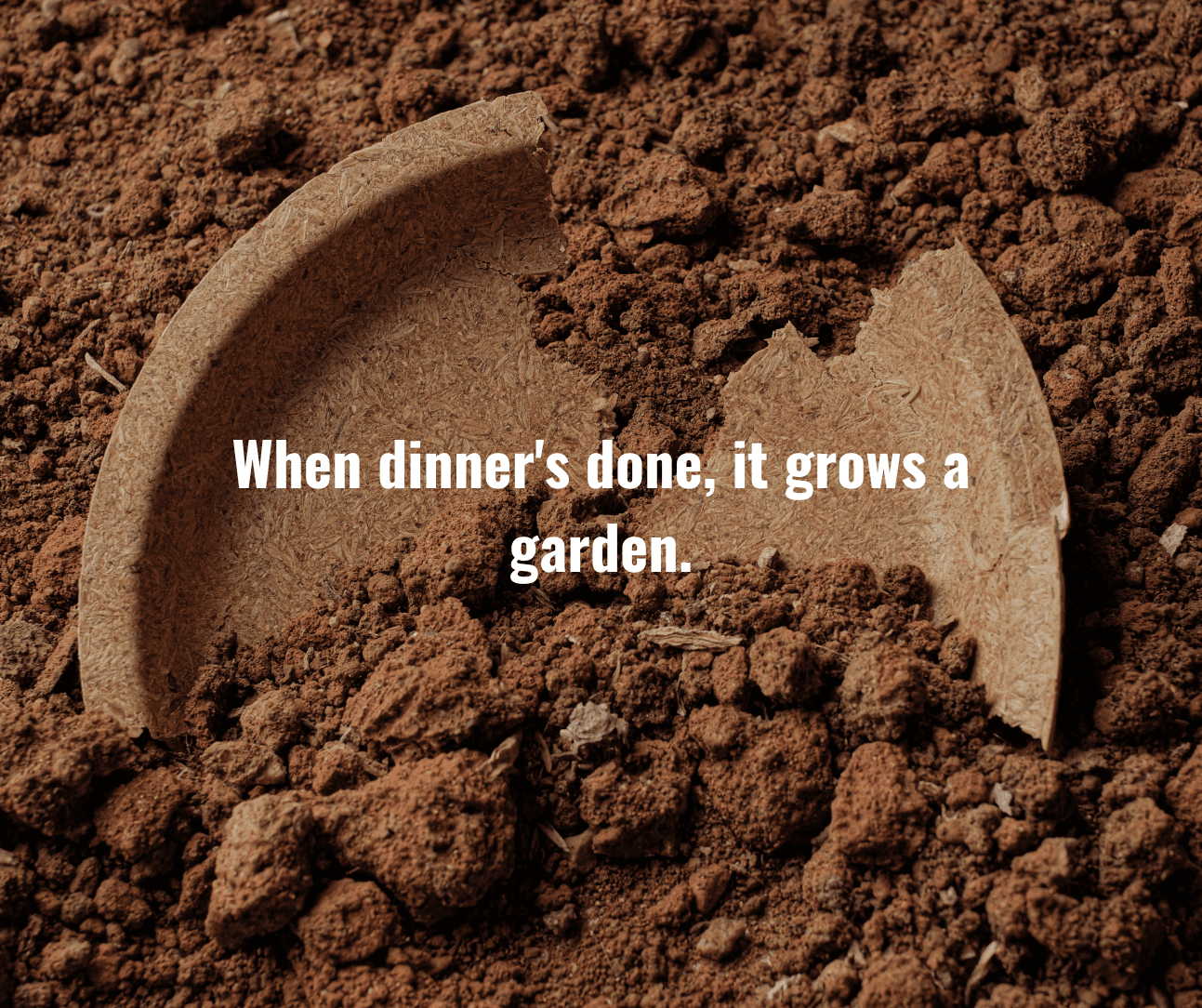 Plate in Soil