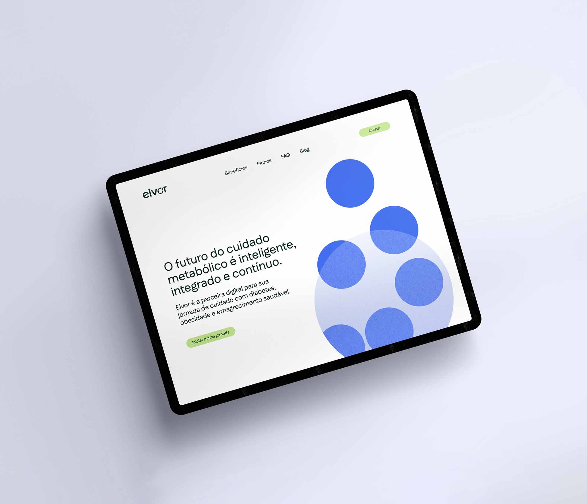 Large Project Gallery Image #4