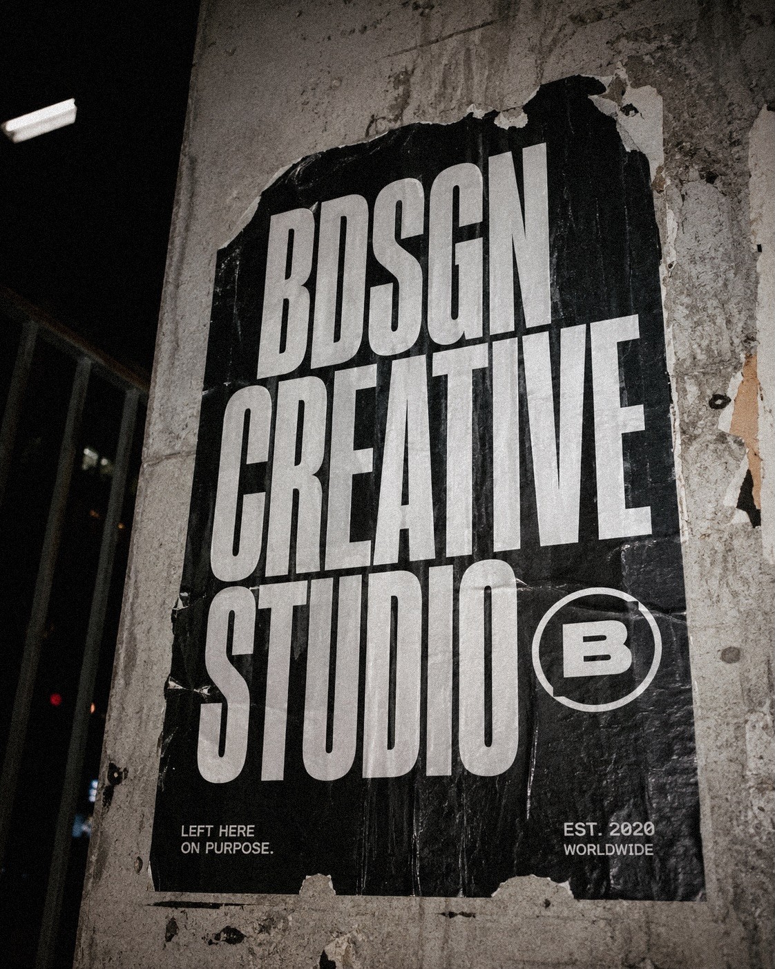 BDSGN Specimen Artwork
