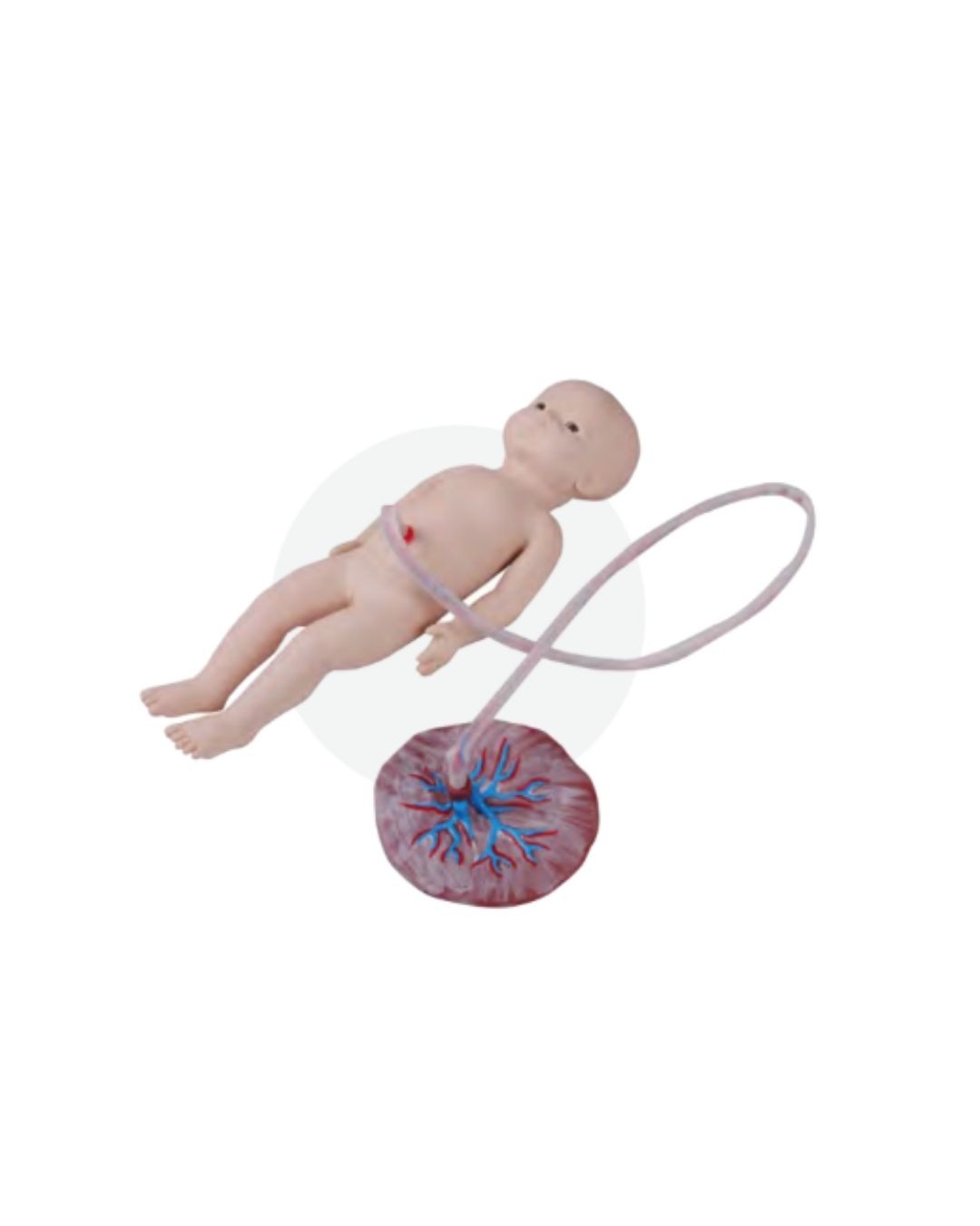 Umbilical Cord Nursing Simulator(Female)