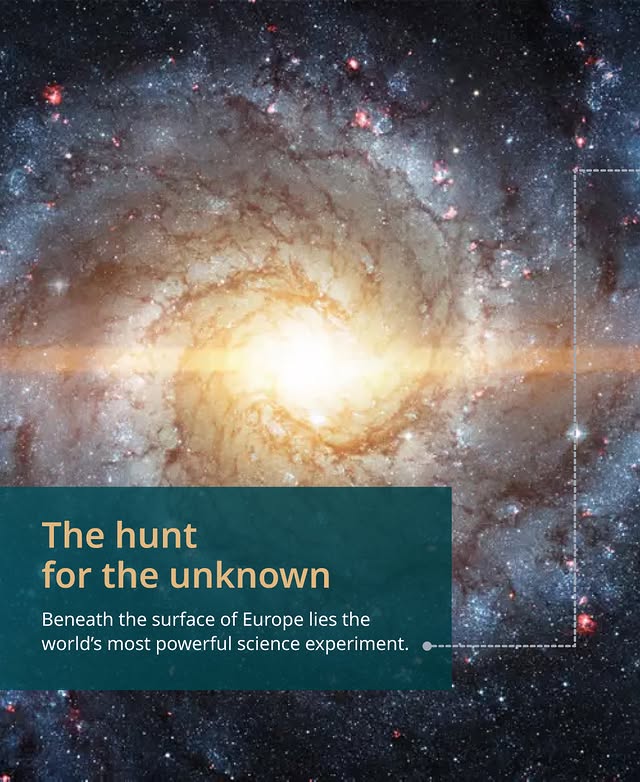 A bottle of daisy perfume with floral accents.