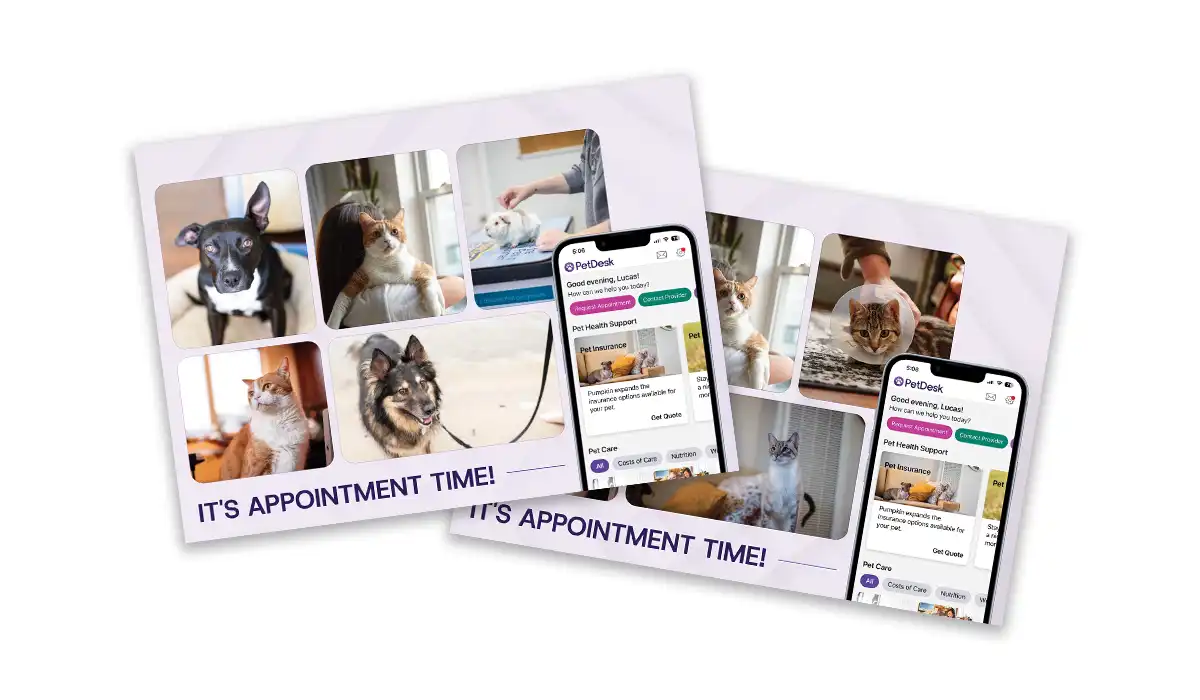 PetDesk Postcards 2022