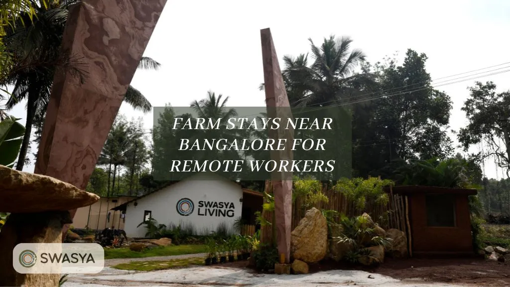 Best Farm Stays Near Bangalore for Remote Working Experience