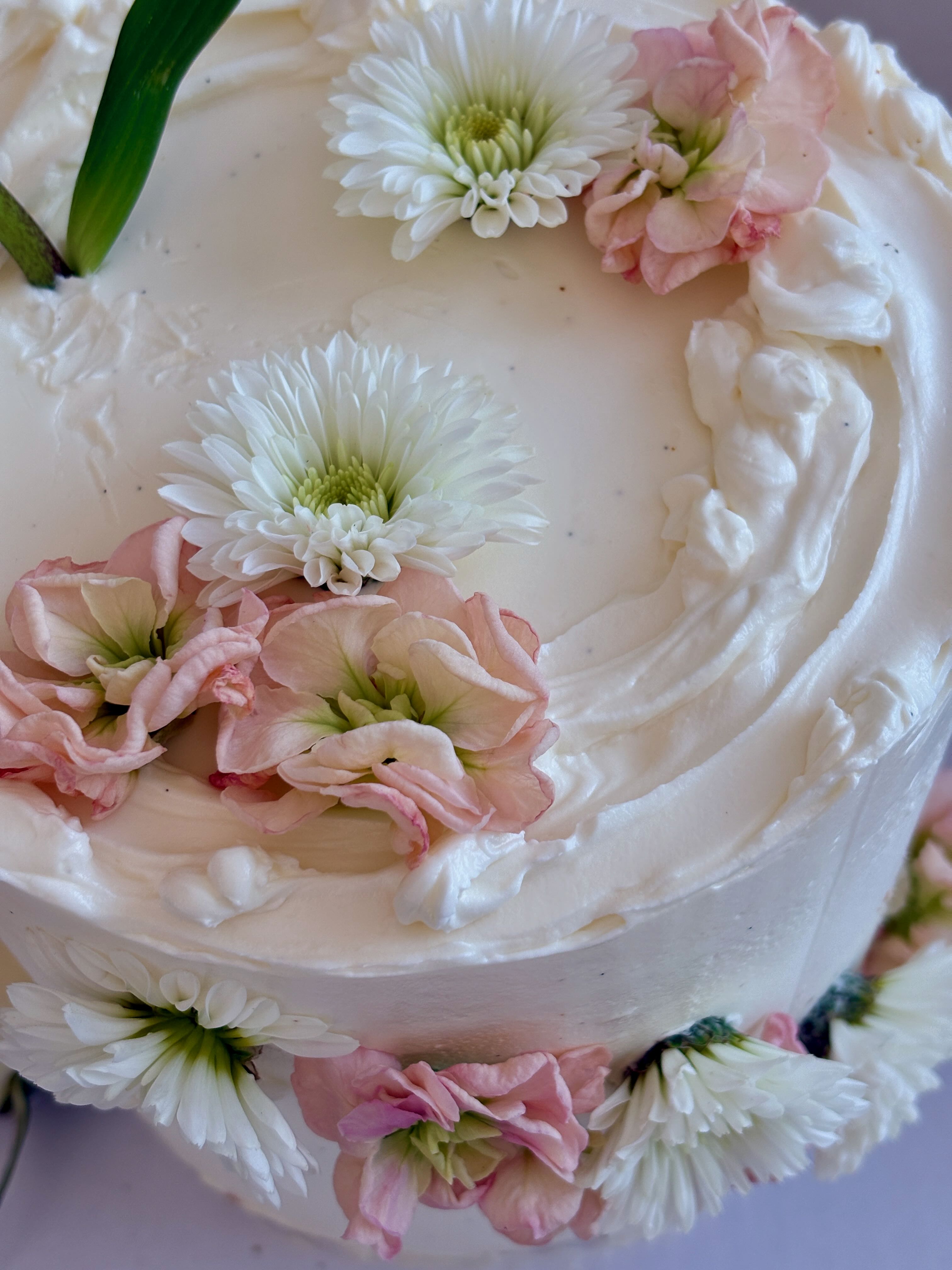 Bottles of olive standing on the marble counter