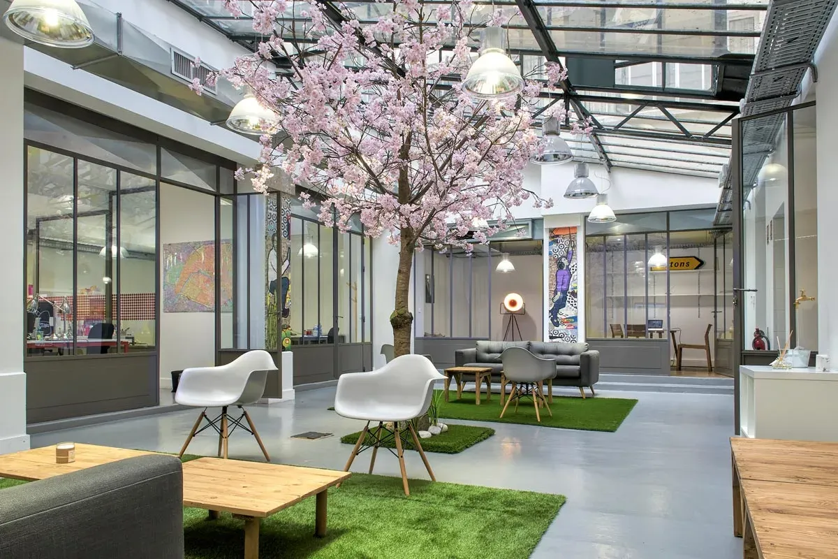 Patio verrière fleur de cerisier décoration zen — photographie d’intérieur Lille | Anteale Yann Manac’h 2025