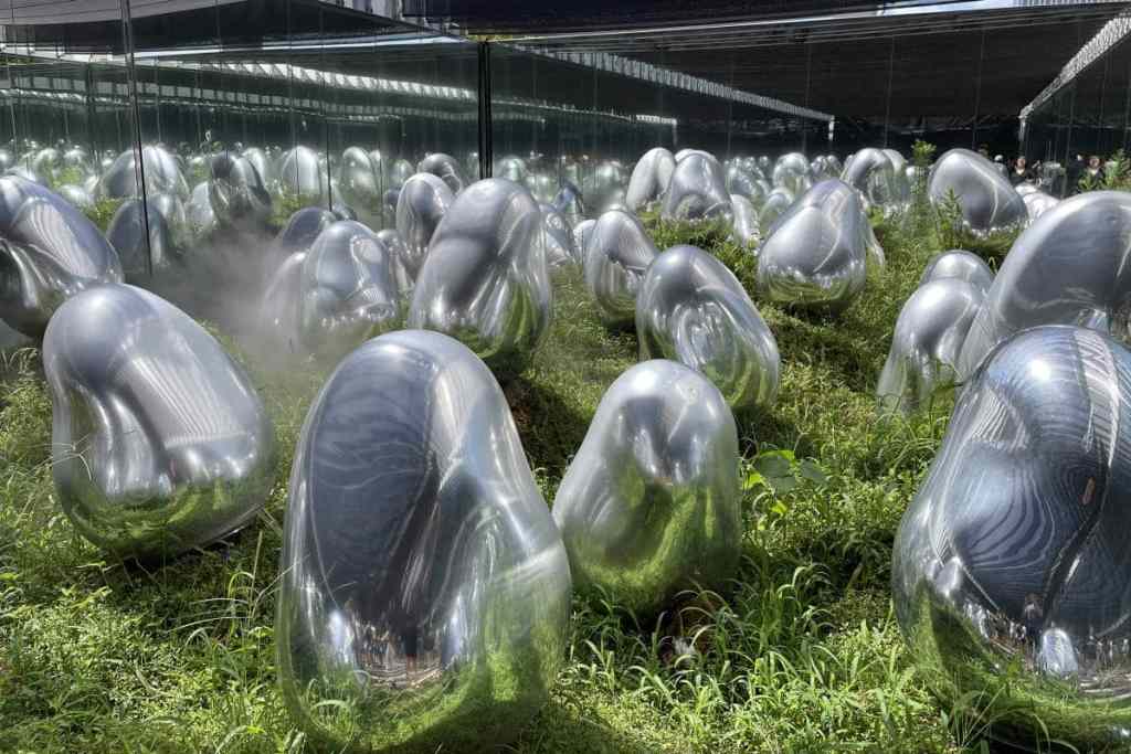 Mirrored sculptures in the garden section of TeamLab Planets Tokyo