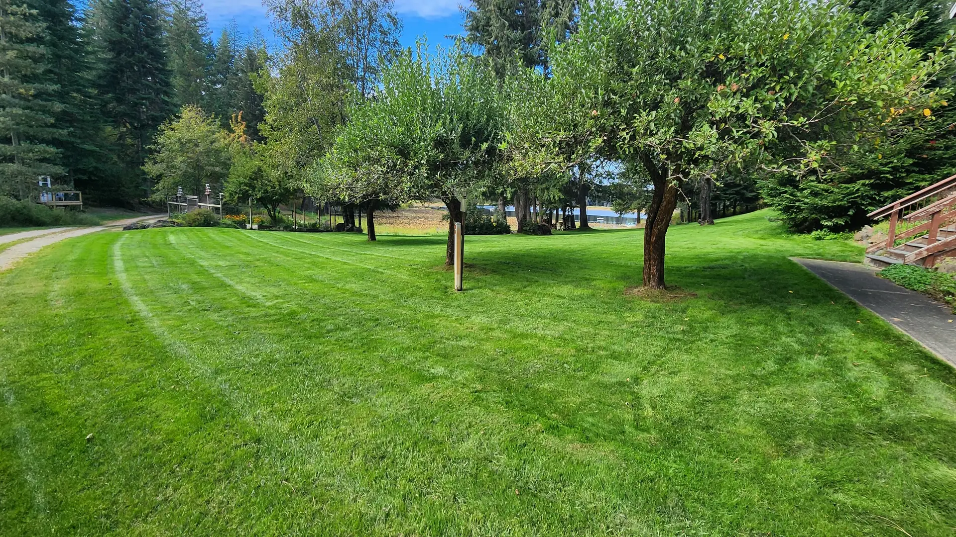 Freshly maintained lawn with mature trees under a blue sky