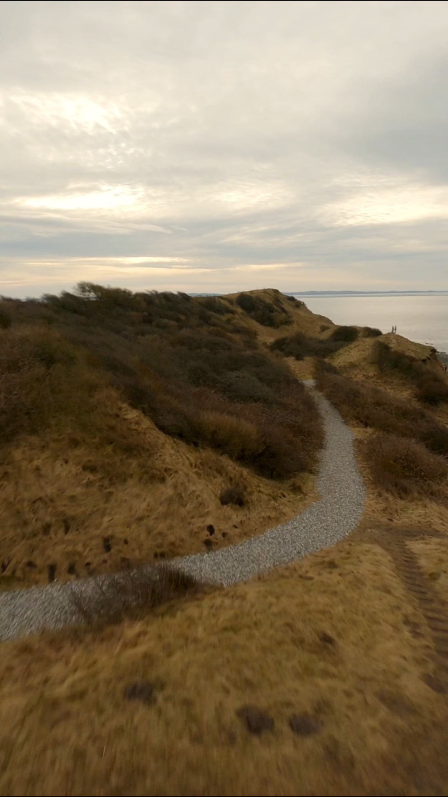 Dynamic picture of a cyclist riding downhill