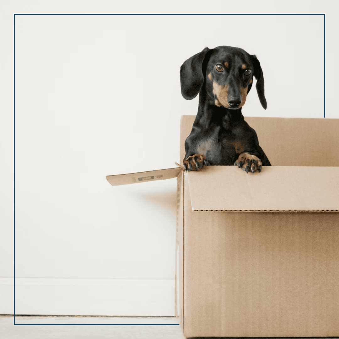 Hand mit Handy und Kompassapp, ein Schiff im Hintegrund