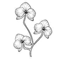 SYI flower mark