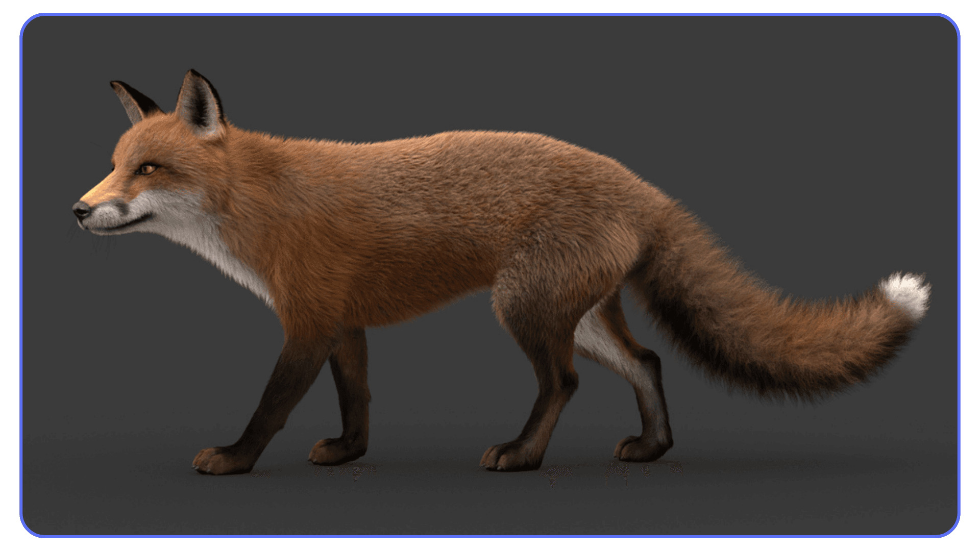 A highly detailed, photorealistic fox 3D model with fur simulation on a dark background.