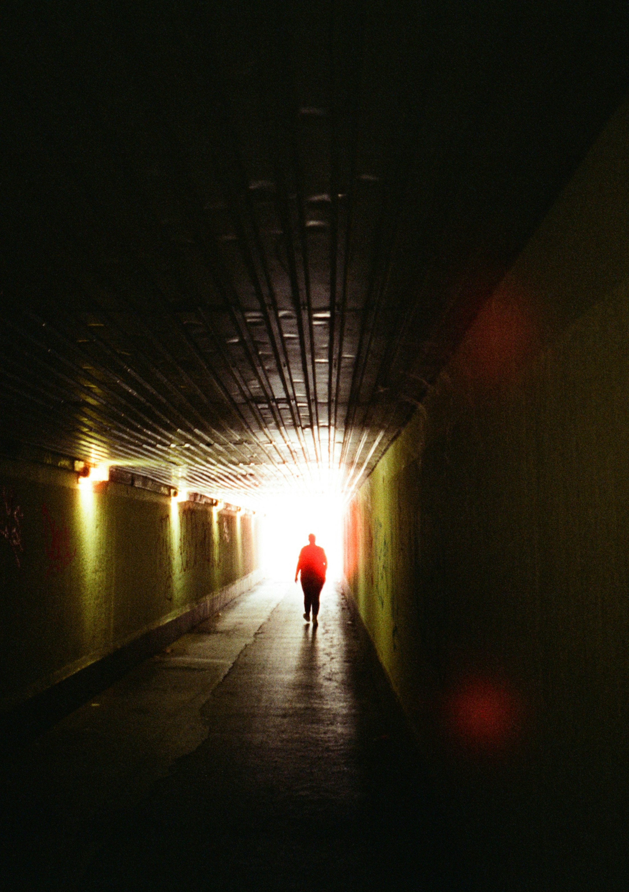 User Author image